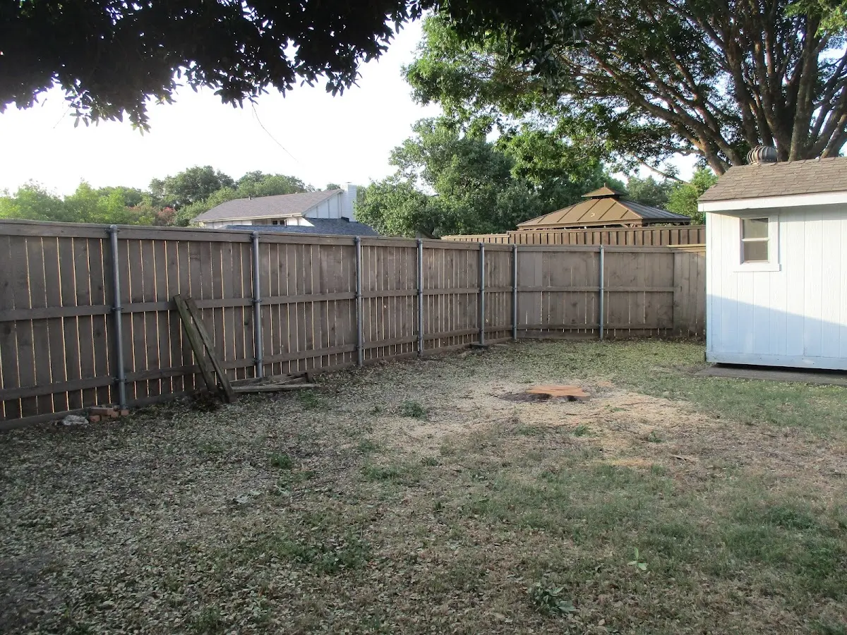 Cleared yard after professional tree removal in Altamont